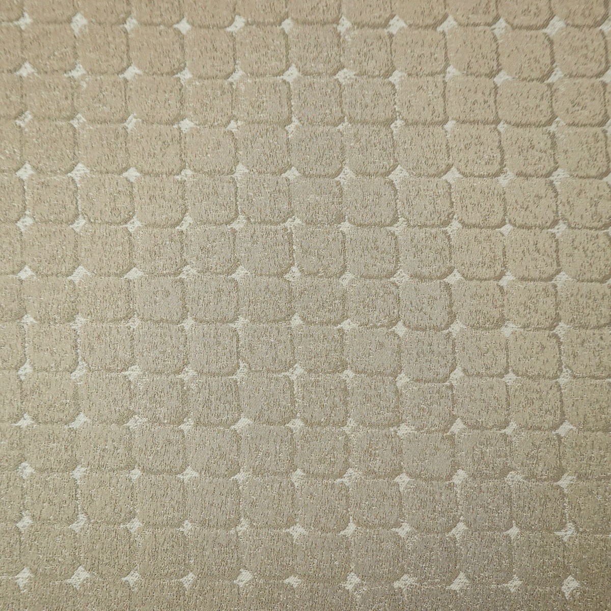 KH26519 -3